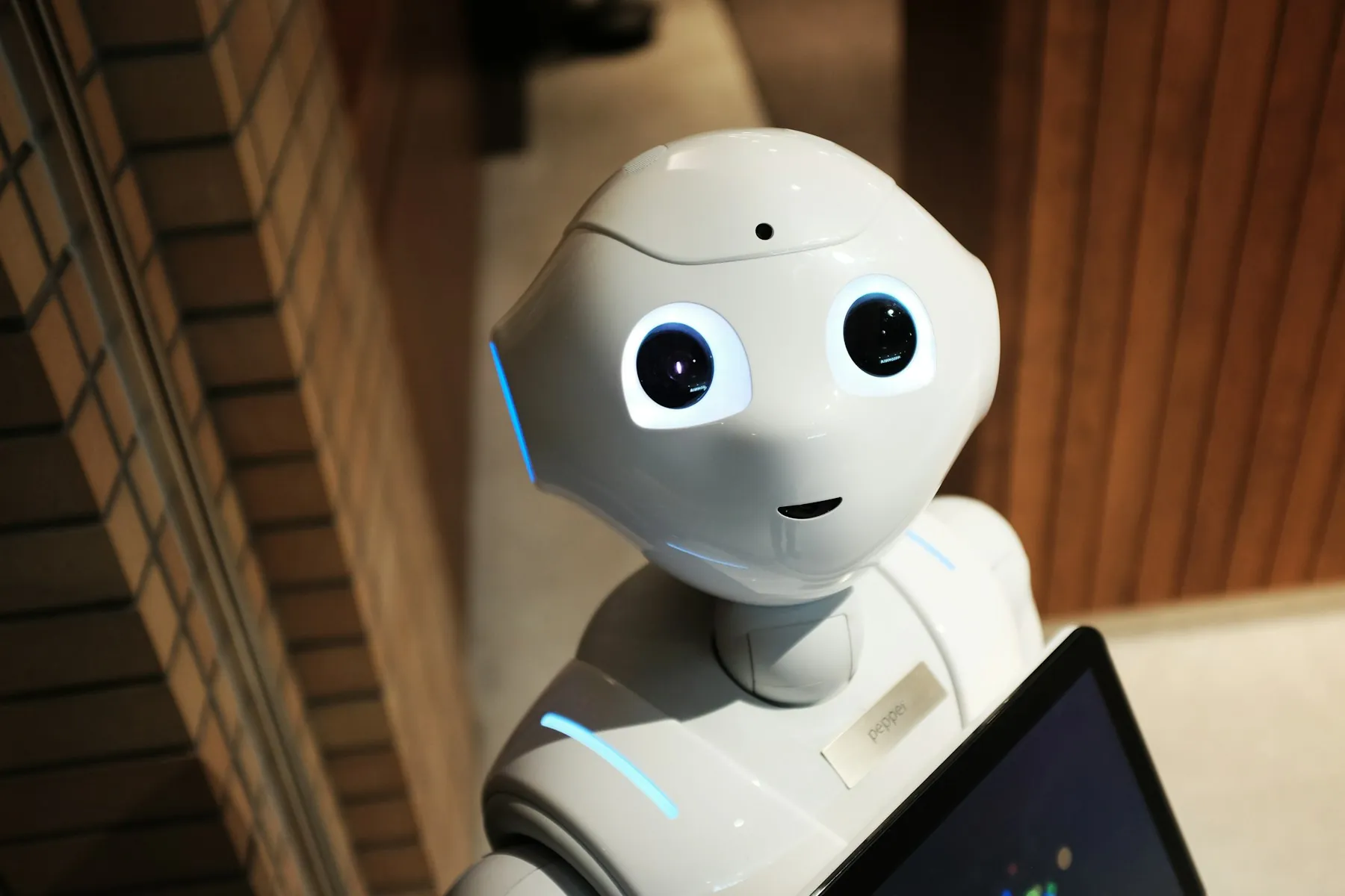 A white robot displayed against a warm wall