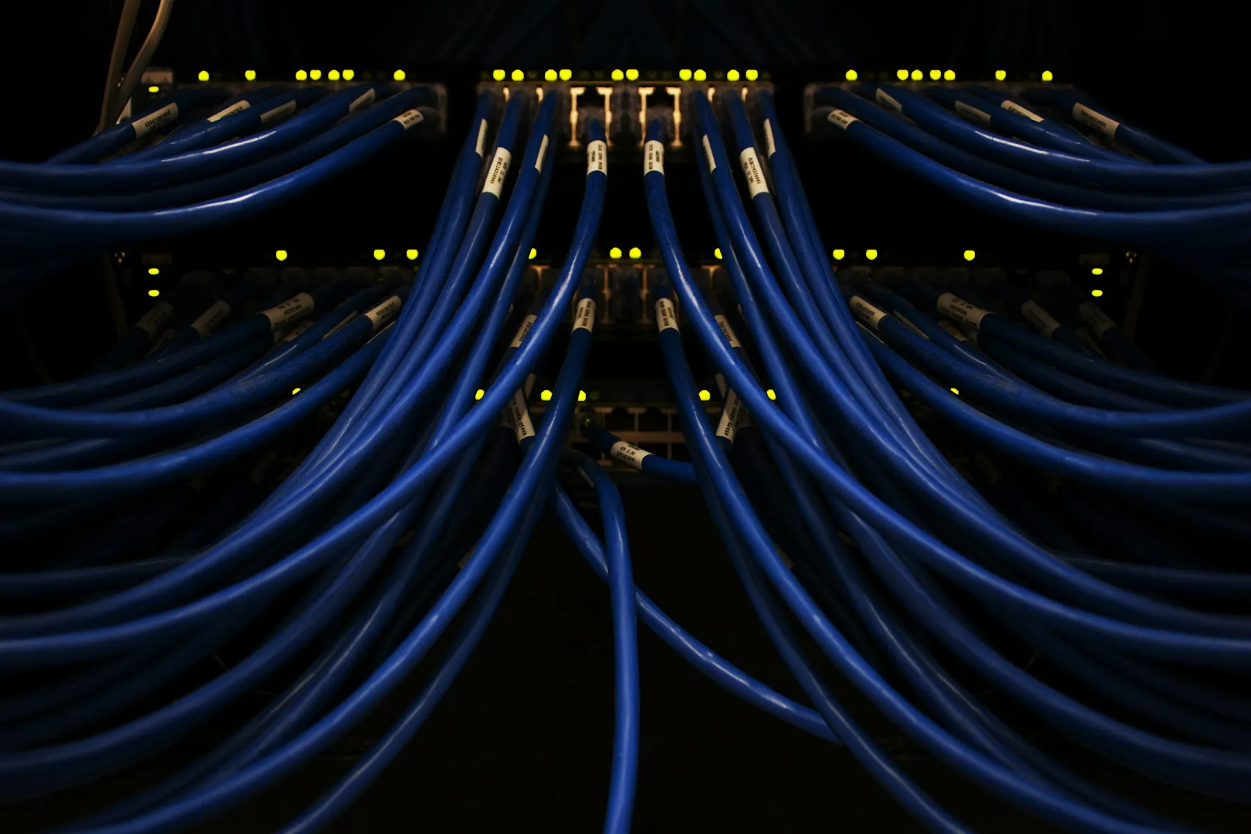 Blue network cables connected to server equipment