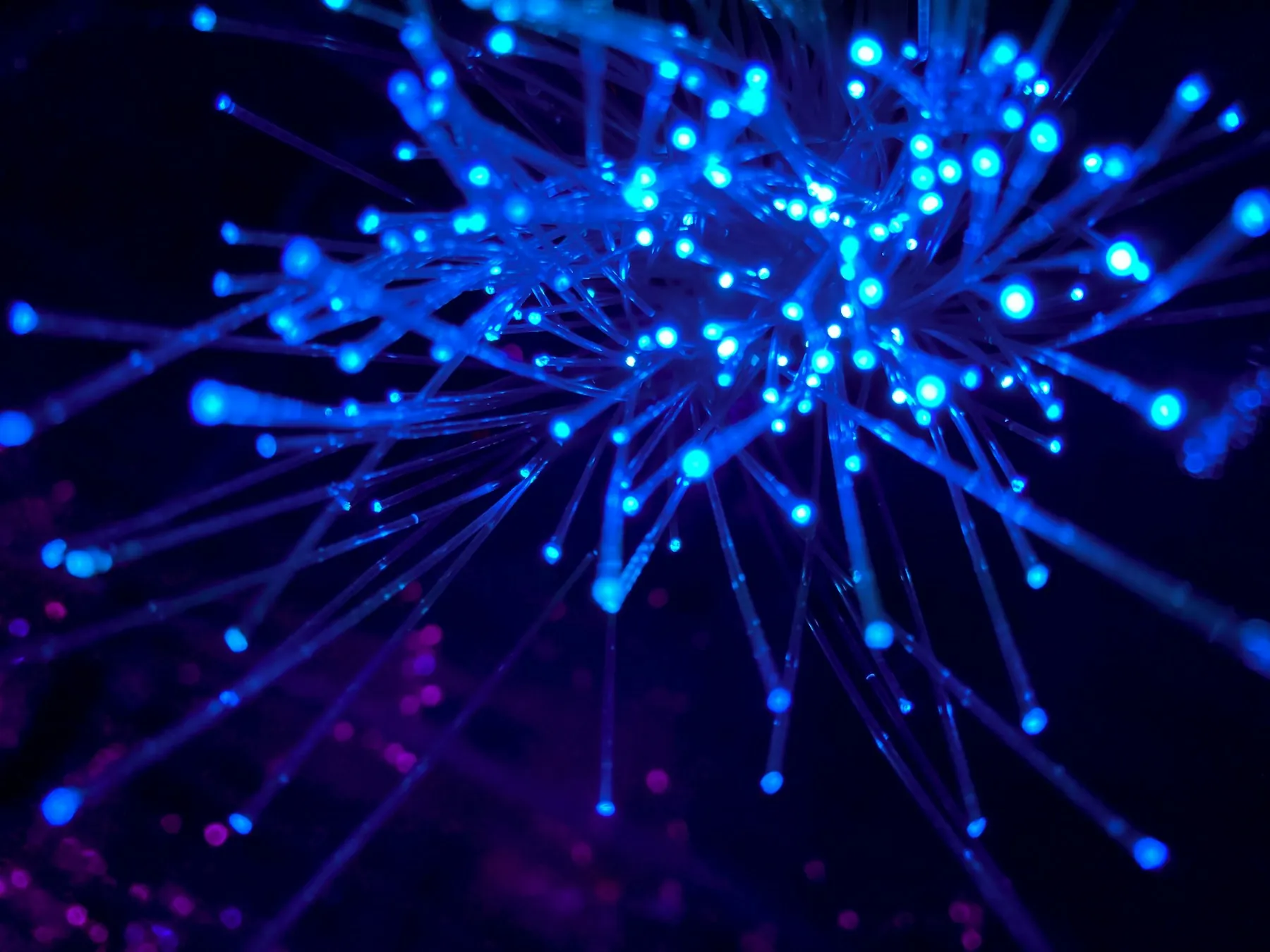Abstract purple and blue lights suggesting a network