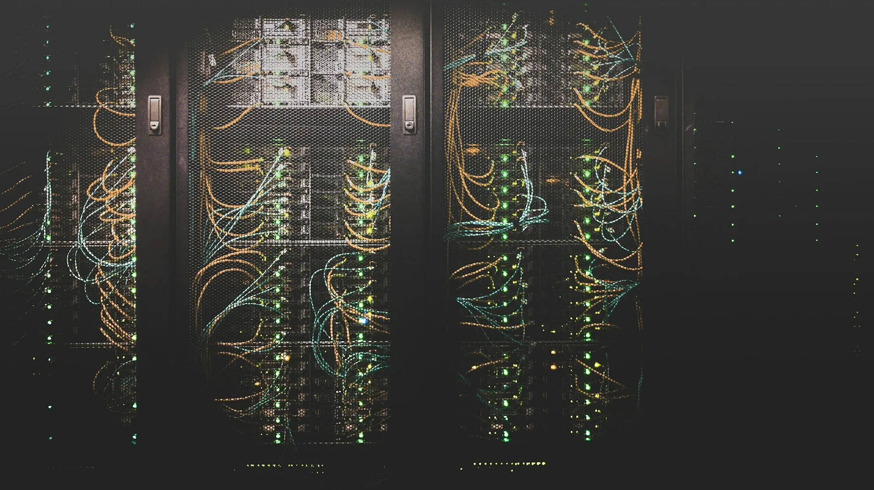A close view of network cabling